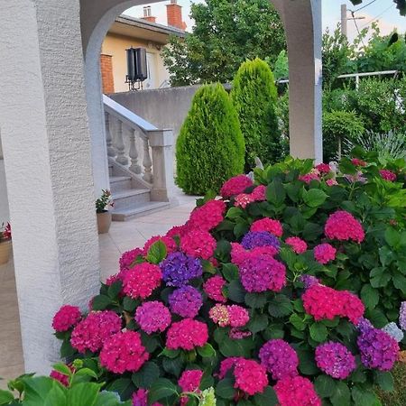 Apartment Nina Novi Vinodolski Zewnętrze zdjęcie