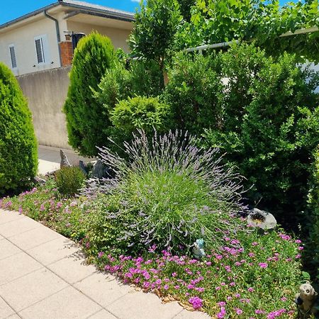 Apartment Nina Novi Vinodolski Zewnętrze zdjęcie