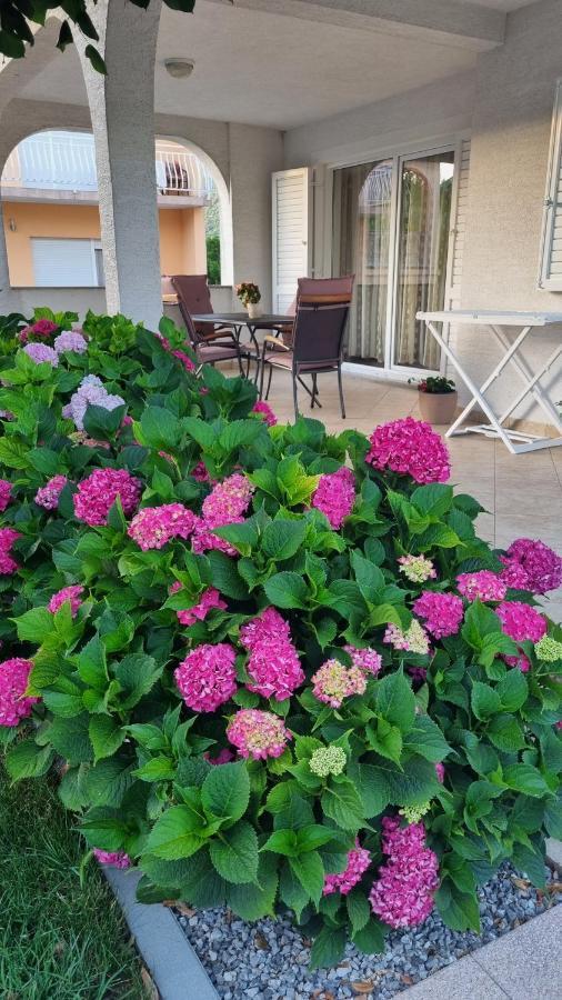 Apartment Nina Novi Vinodolski Zewnętrze zdjęcie