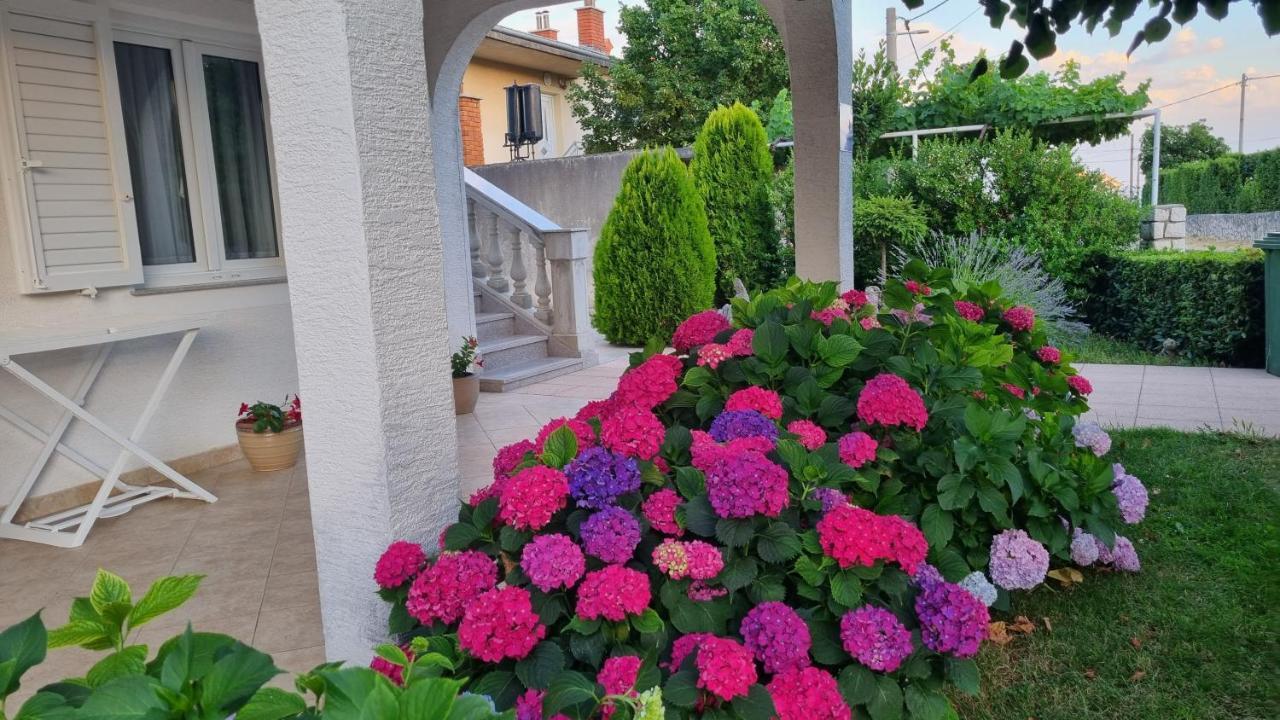 Apartment Nina Novi Vinodolski Zewnętrze zdjęcie
