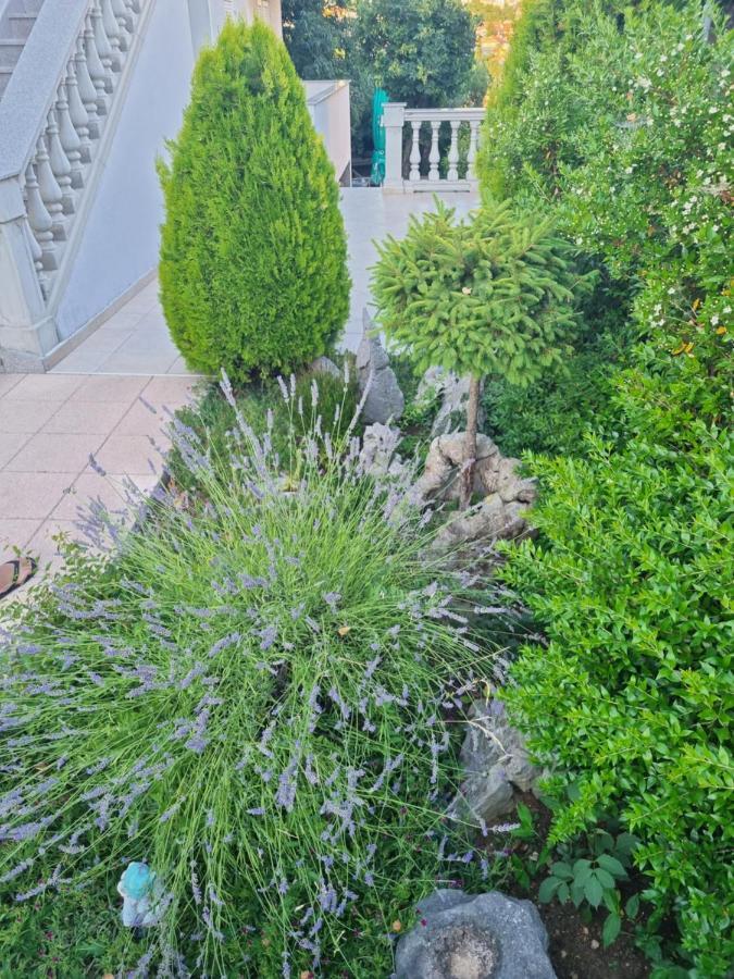 Apartment Nina Novi Vinodolski Zewnętrze zdjęcie